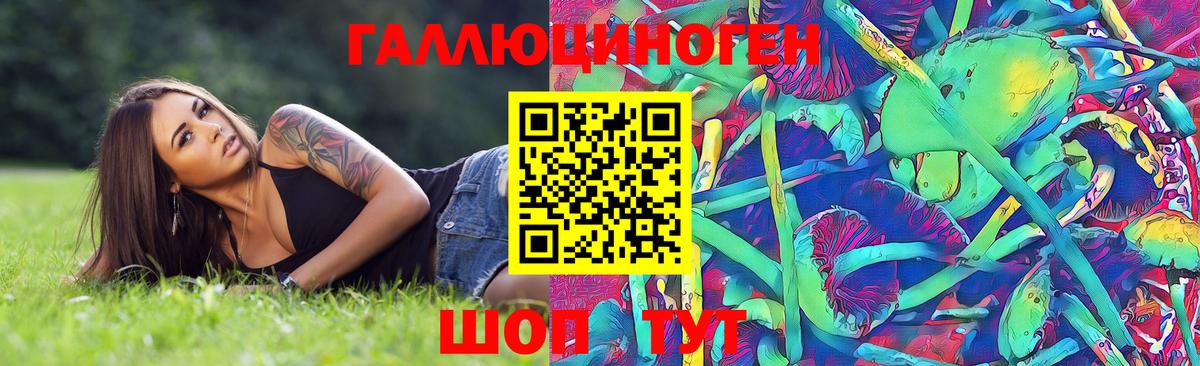 Десногорск  Псилоцибиновые грибы Psilocybine cubensis  Вход с VPN 