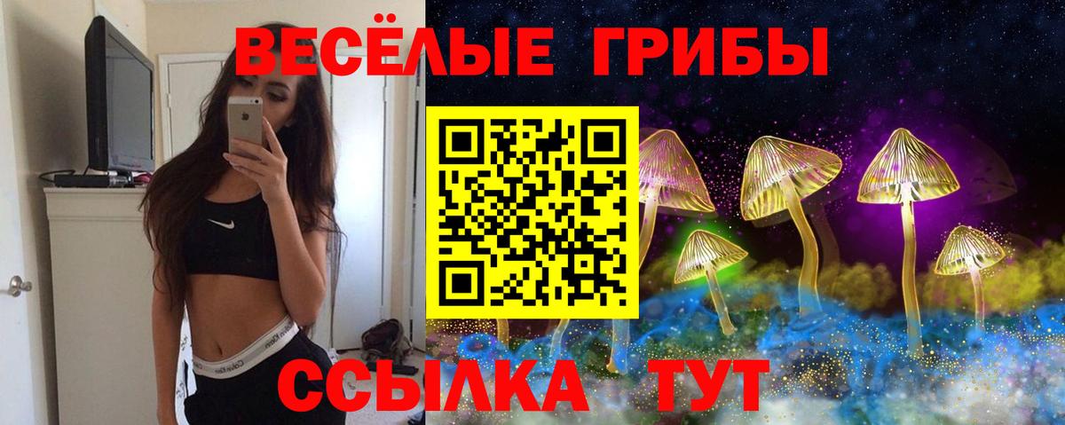 Псилоцибиновые грибы мухоморы Десногорск